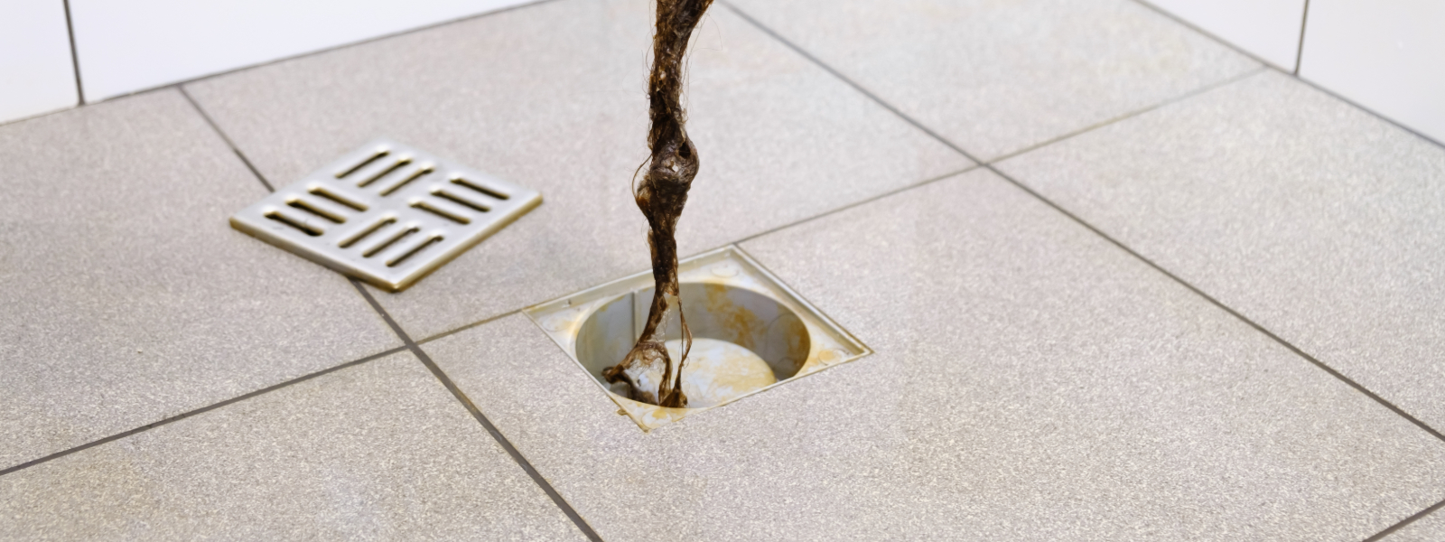 Bathroom Rodding Naperville IL