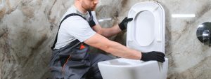 Toilet Installation Carol Stream IL